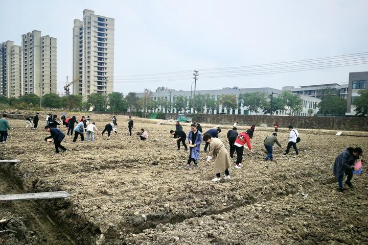 微信图片_20201031221611.jpg